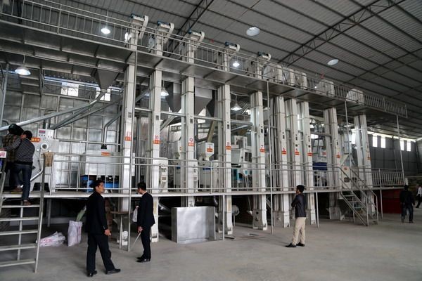 钢架式大米加工设备(图4)
