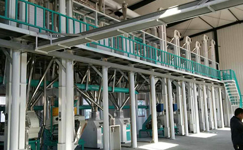 玉米原粮除杂方法及除杂后对玉米加工机械有哪些帮助(图1)