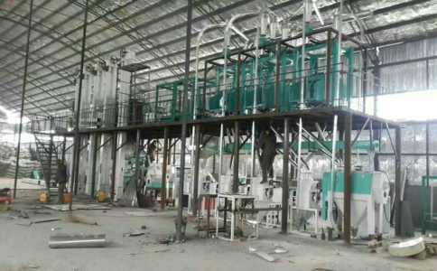 分析玉米糁加工设备对市场加工行业的需求(图1)
